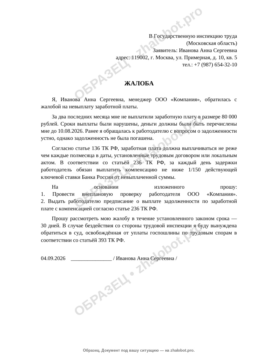 Образец жалобы в трудовую инспекцию